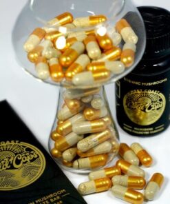 Buy Mushroom Gold Caps – Premium Psilocybin Capsules for Microdosing & Mental Clarity