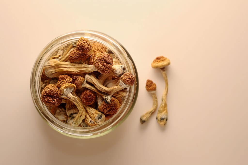 West Coast Gold Caps Raw Mushrooms: Complete Guide
